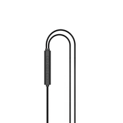 Wired AUX Earphone | A690